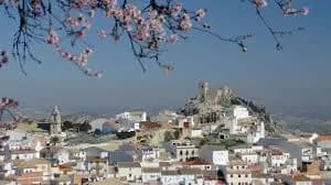 Luque