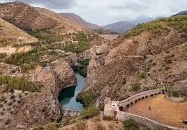 Pinos Genil