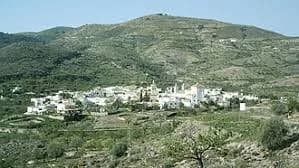 Turón