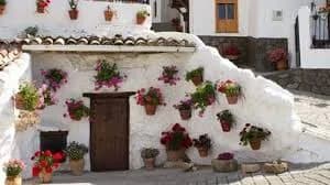 Frailes