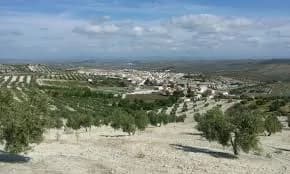 Fuerte Del Rey