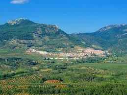 Orcera