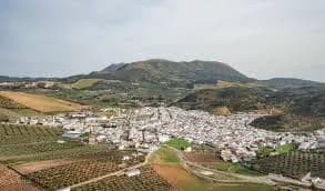 Pruna