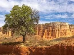 Barrachina