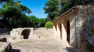 Algaida (pina)