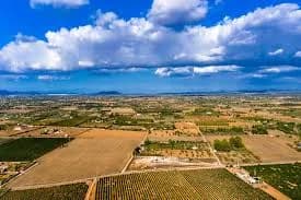 Santa Eugènia
