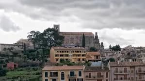 Selva (moscari)