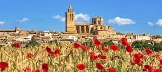 Sineu