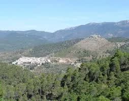 Cotillas