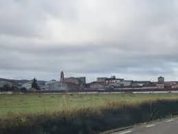 Pozuelo