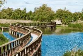 Daimiel