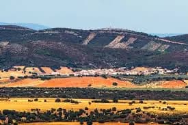 Navalpino