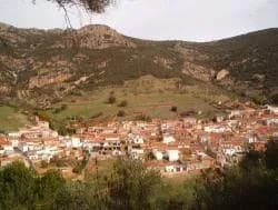 Solana Del Pino
