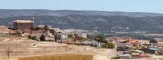 Colliga