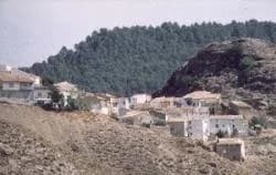 Narboneta