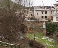Palomera
