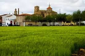Sisante