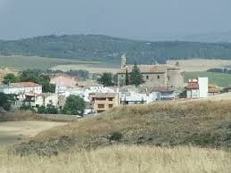 Tondos