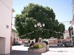 Torralba