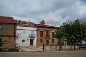 Algora