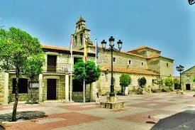 Sacecorbo