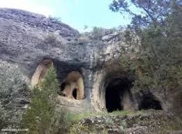 Tamajón