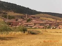 Terzaga