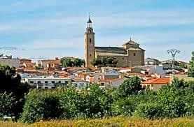 Cebolla