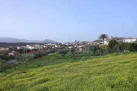 Garciotum