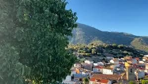 Hinojosa De San Vicente