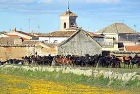 Santa Ana De Pusa
