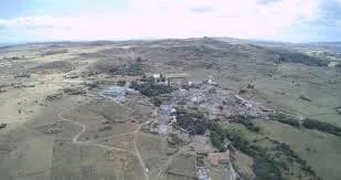 Marlín