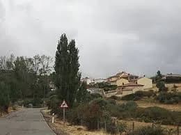 Ojos Albos
