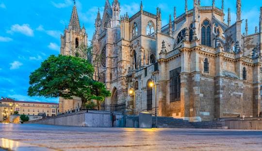 León