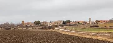 Aylloncillo