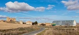 Centenera Del Campo