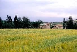 Torremediana