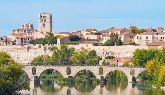 Zamora