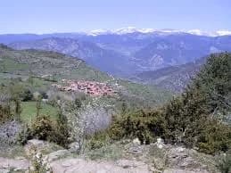 Ansovell