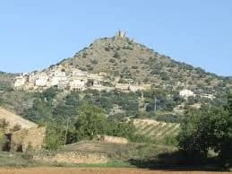 Orcau