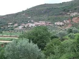 Sossís