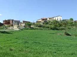 Torallola