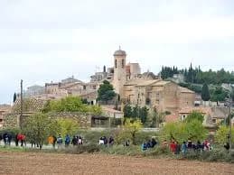 Vilosell