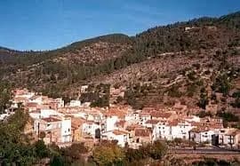 Alcudia De Veo