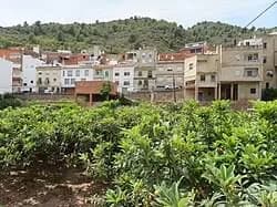 Alfondeguilla