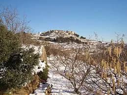 Benafigos