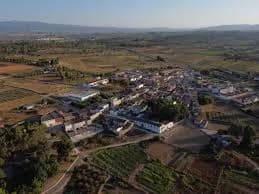 Bellús