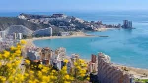 Cullera