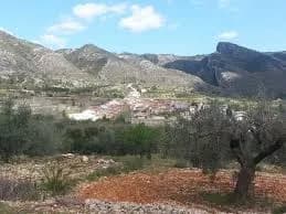 Pinet