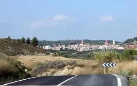 Turís